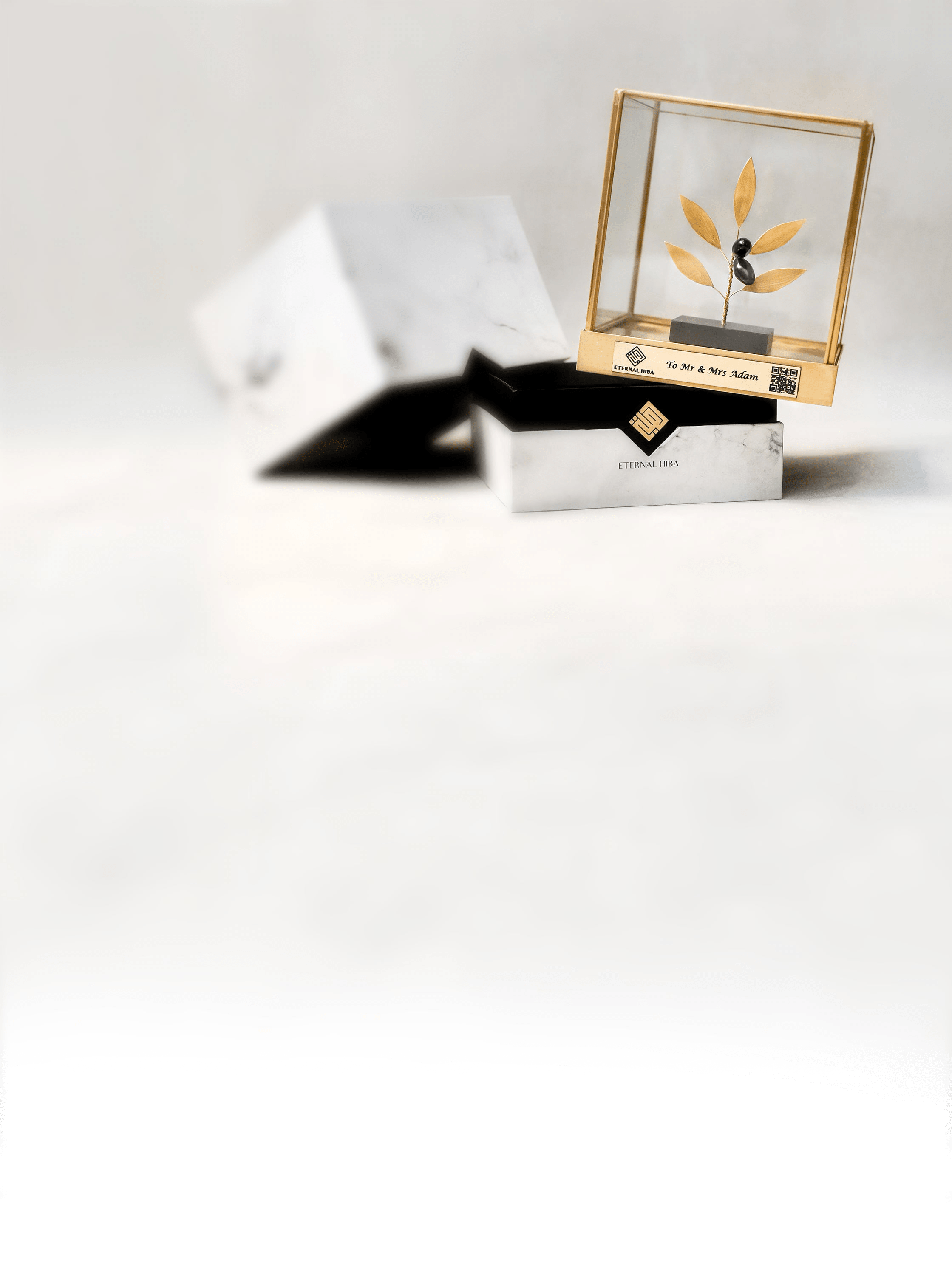 Eternal Hiba glass display box with olive tree model